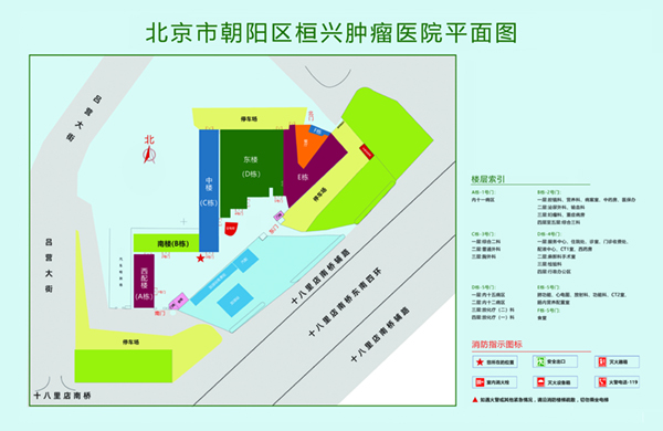 大胸女人被草到爽插入视频网站北京市朝阳区桓兴肿瘤医院平面图